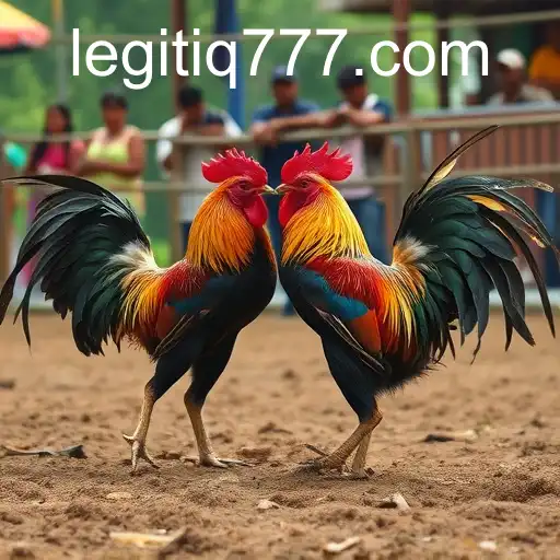 The Exciting Evolution of Sabong: Tradition Meets Technology with iq777